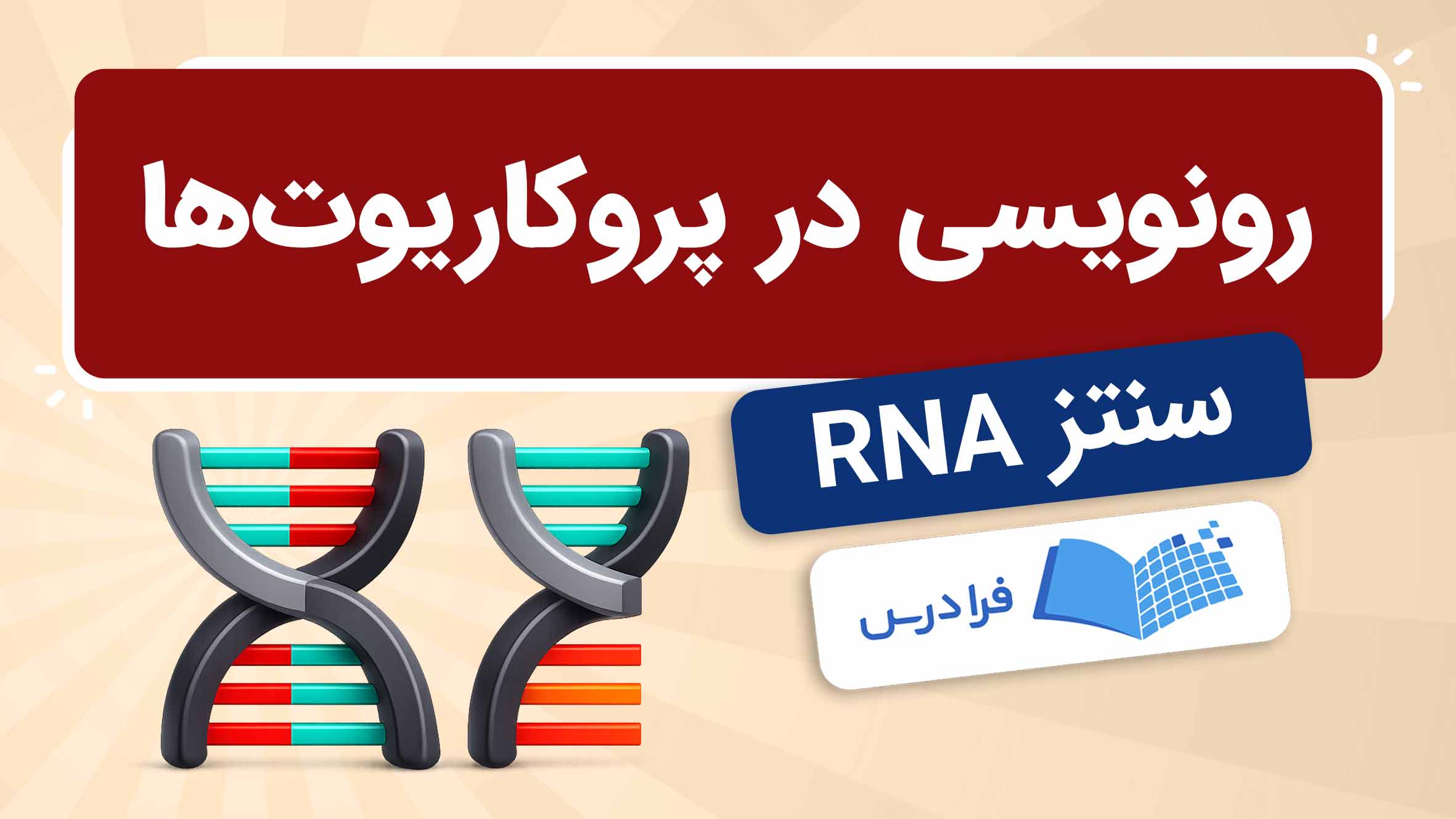 فیلم آموزش رونویسی در پروکاریوت‌ها و سنتز RNA در فرادرس