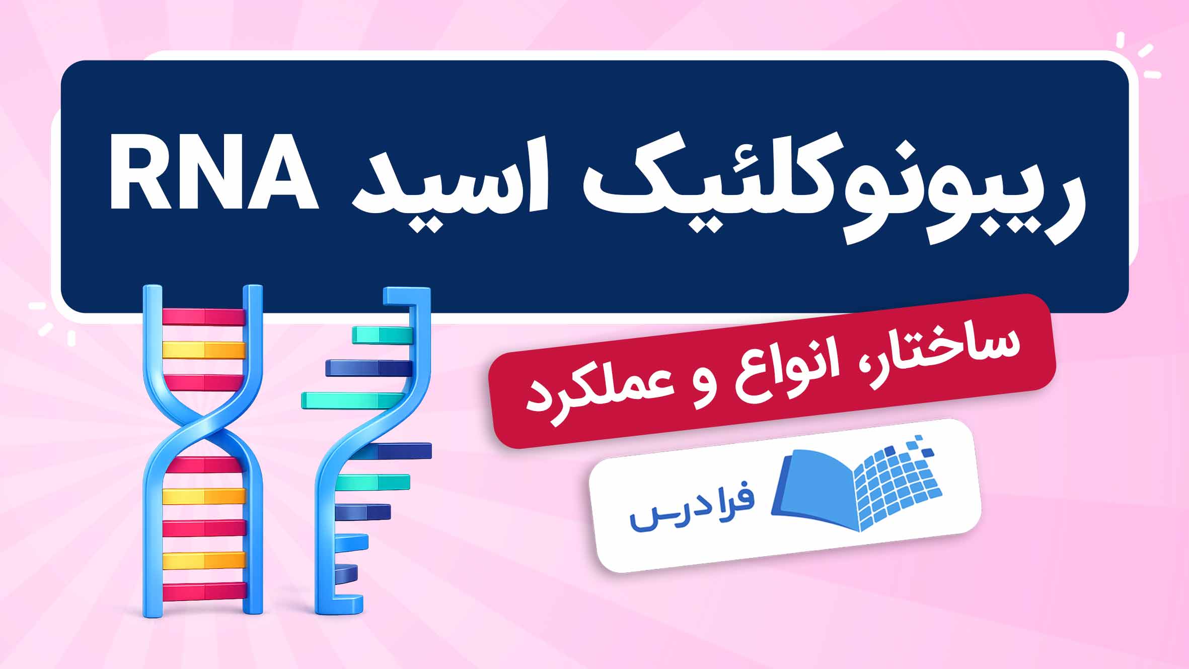 فیلم آموزش ساختار و عملکرد RNA