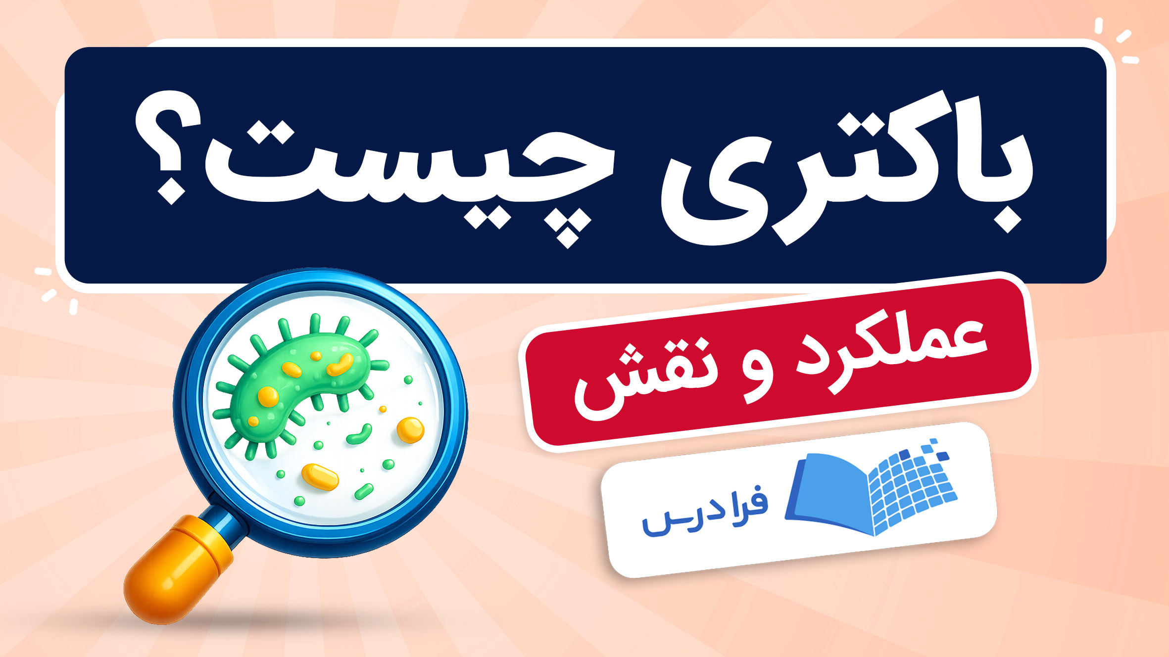 فیلم آموزش نقش باکتری‌ها در زندگی انسان در فرادرس
