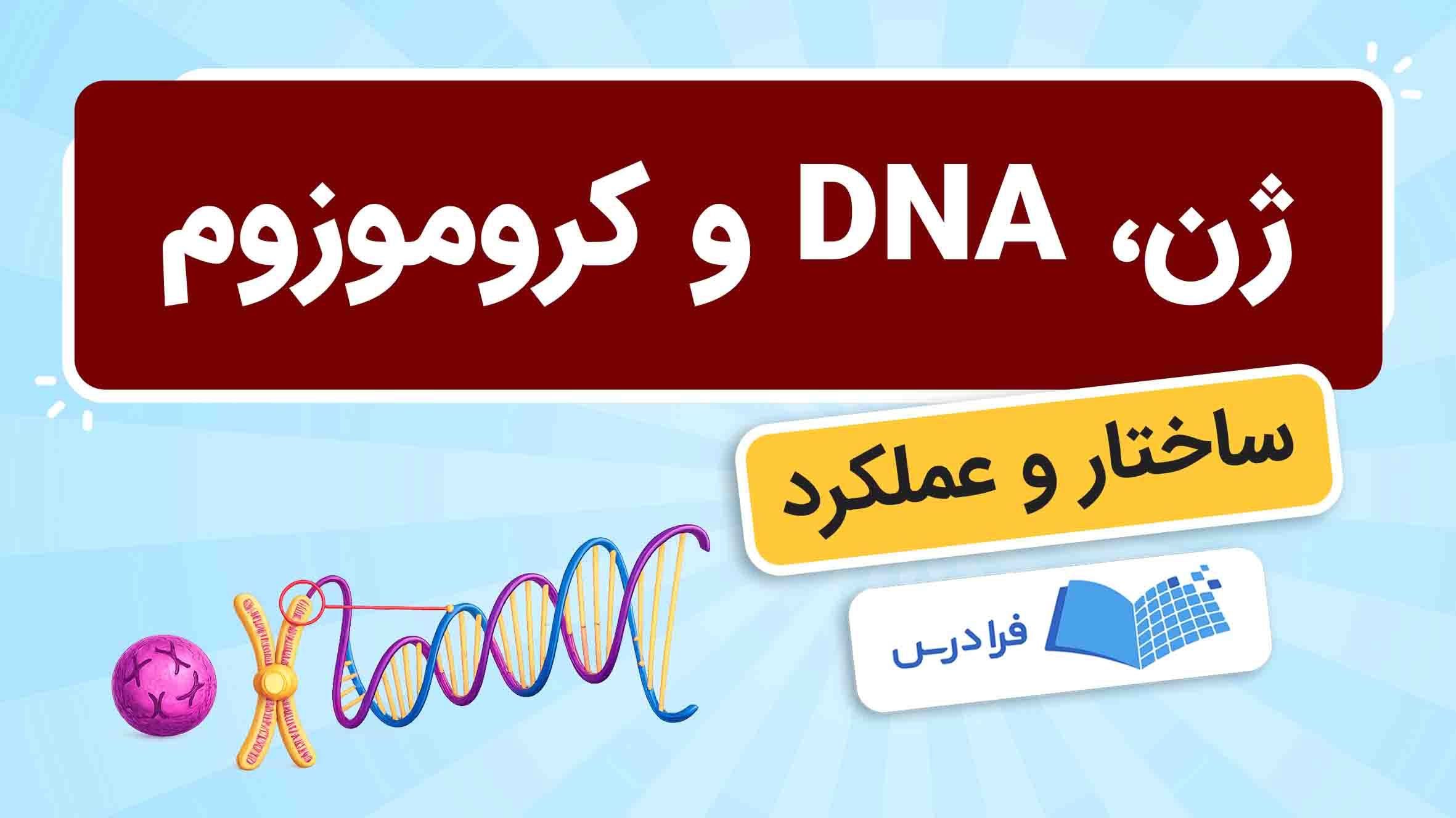 فیلم آموزش تفاوت ژن، DNA و کروموزوم در فرادرس