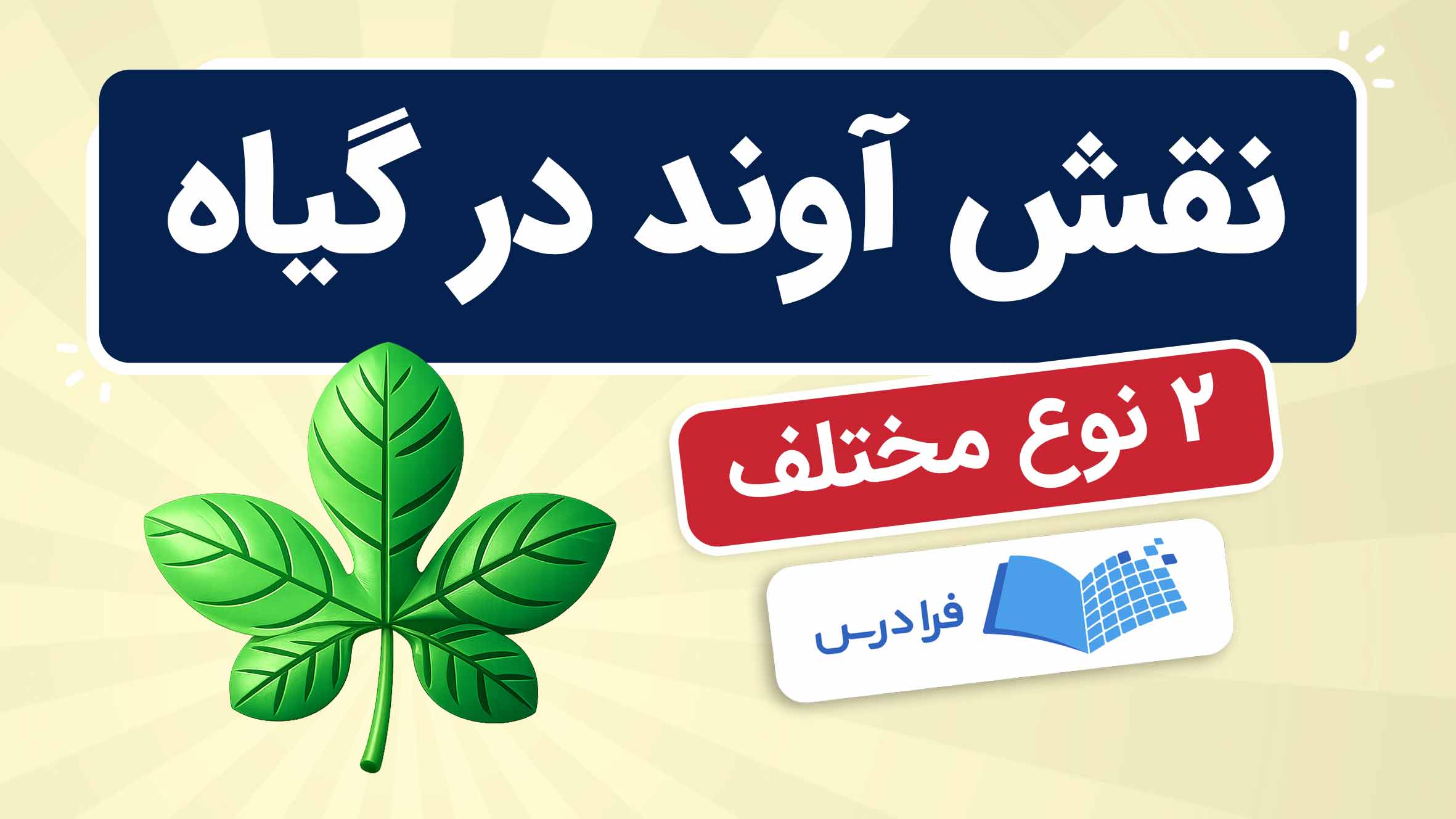 فیلم آموزش آوند در گیاه و انواع آن