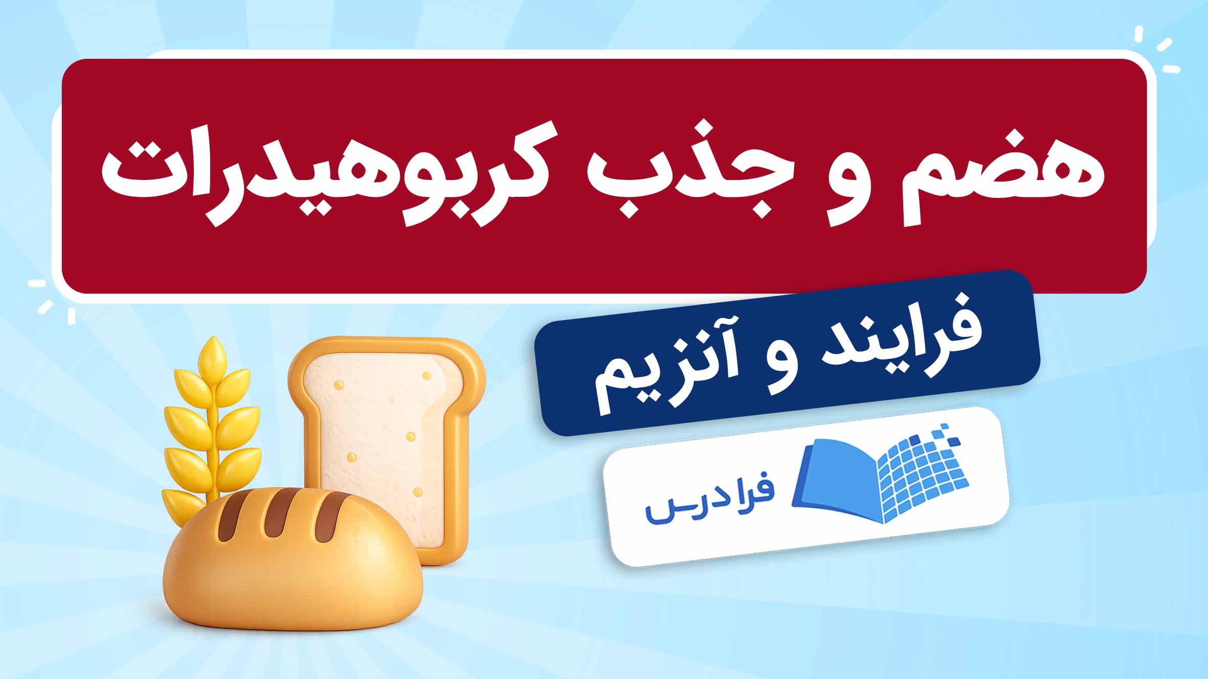 فیلم آموزش هضم و جذب کربوهیدرات‌ها در فرادرس