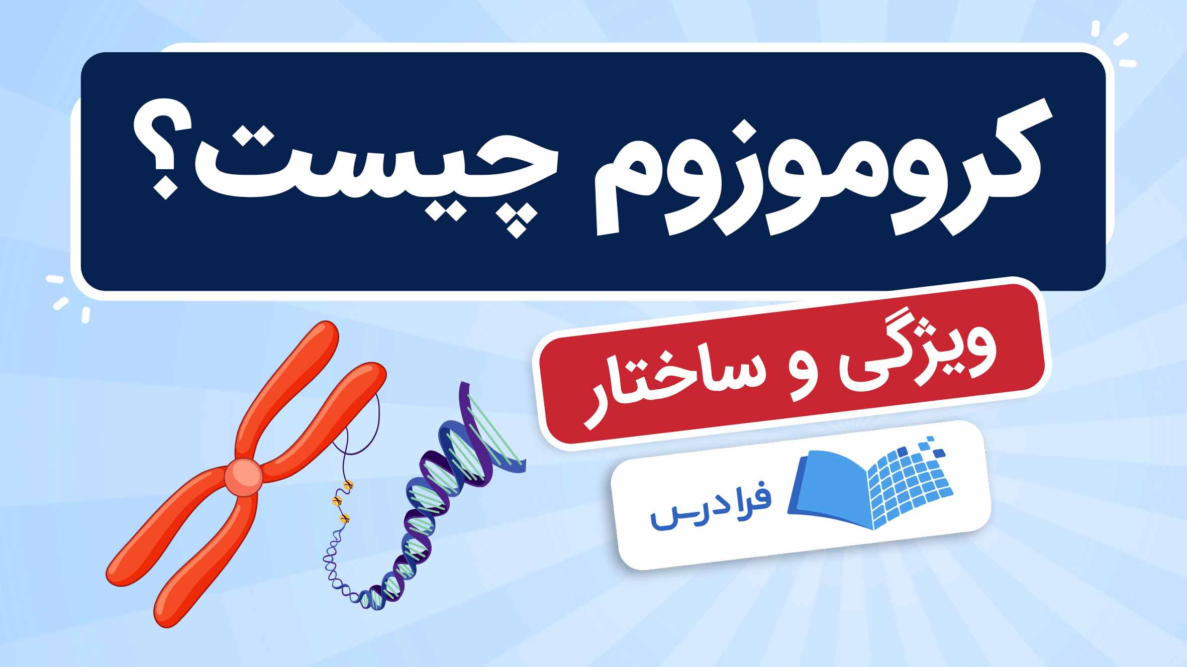 فیلم آموزش ساختار و نقش کروموزوم