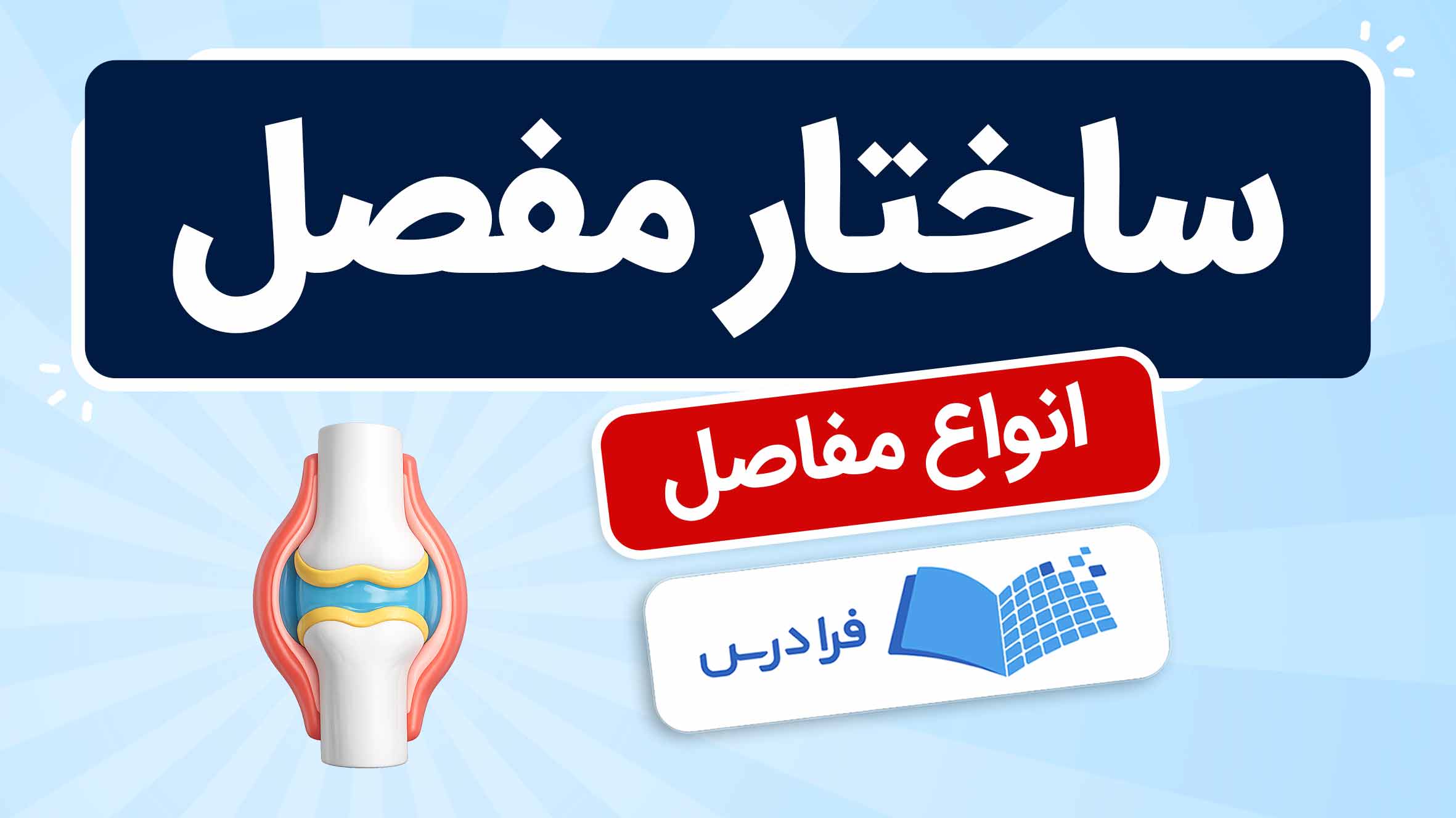 فیلم آموزش ساختار و انواع مفصل در فرادرس