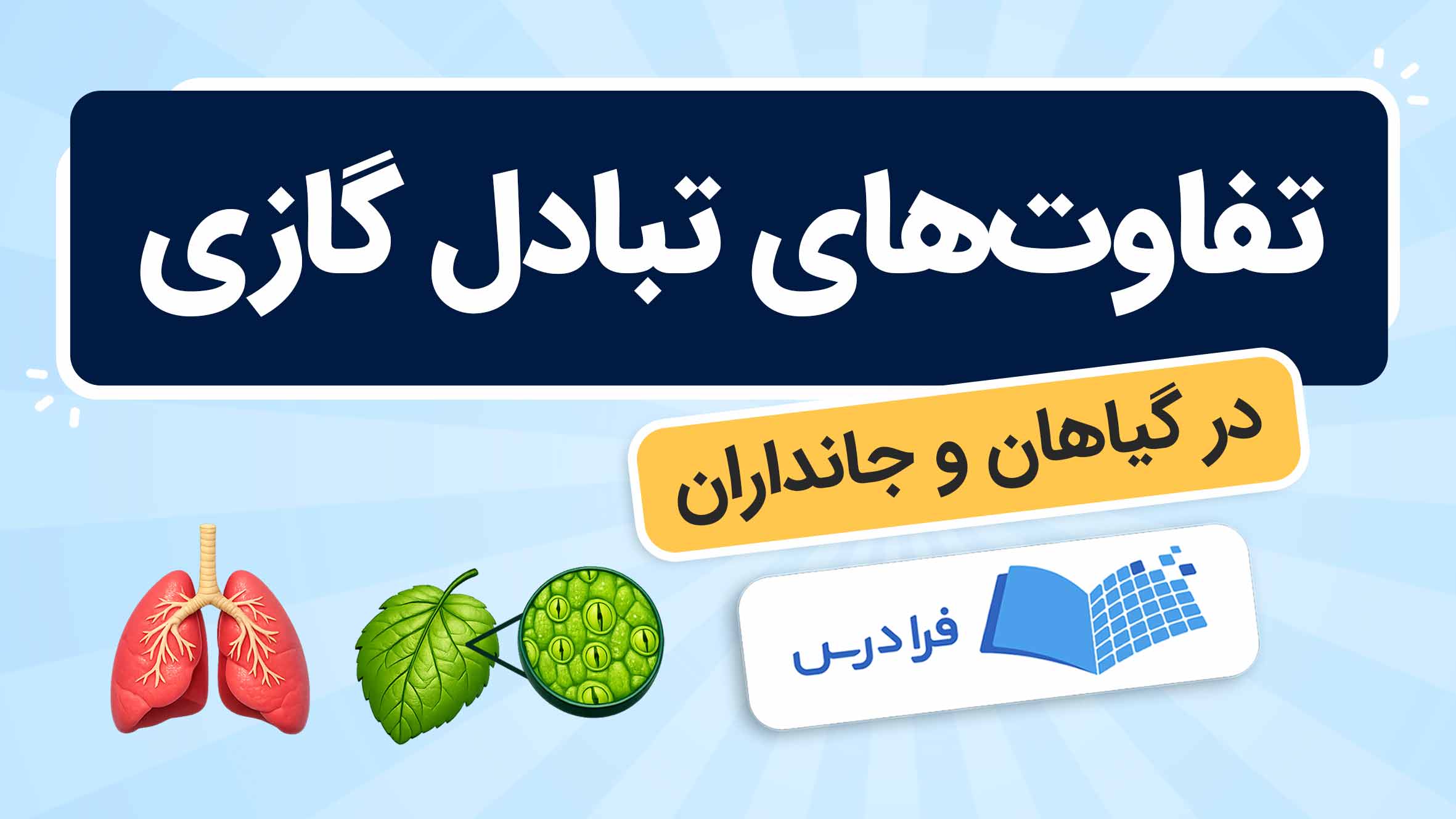 فیلم آموزش تبادل‌ گازی در گیاهان و جانداران در فرادرس