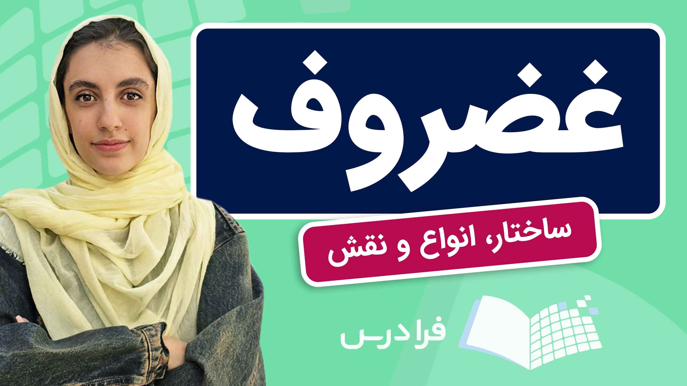 فیلم آموزش ساختار و انواع غضروف در بدن در فرادرس