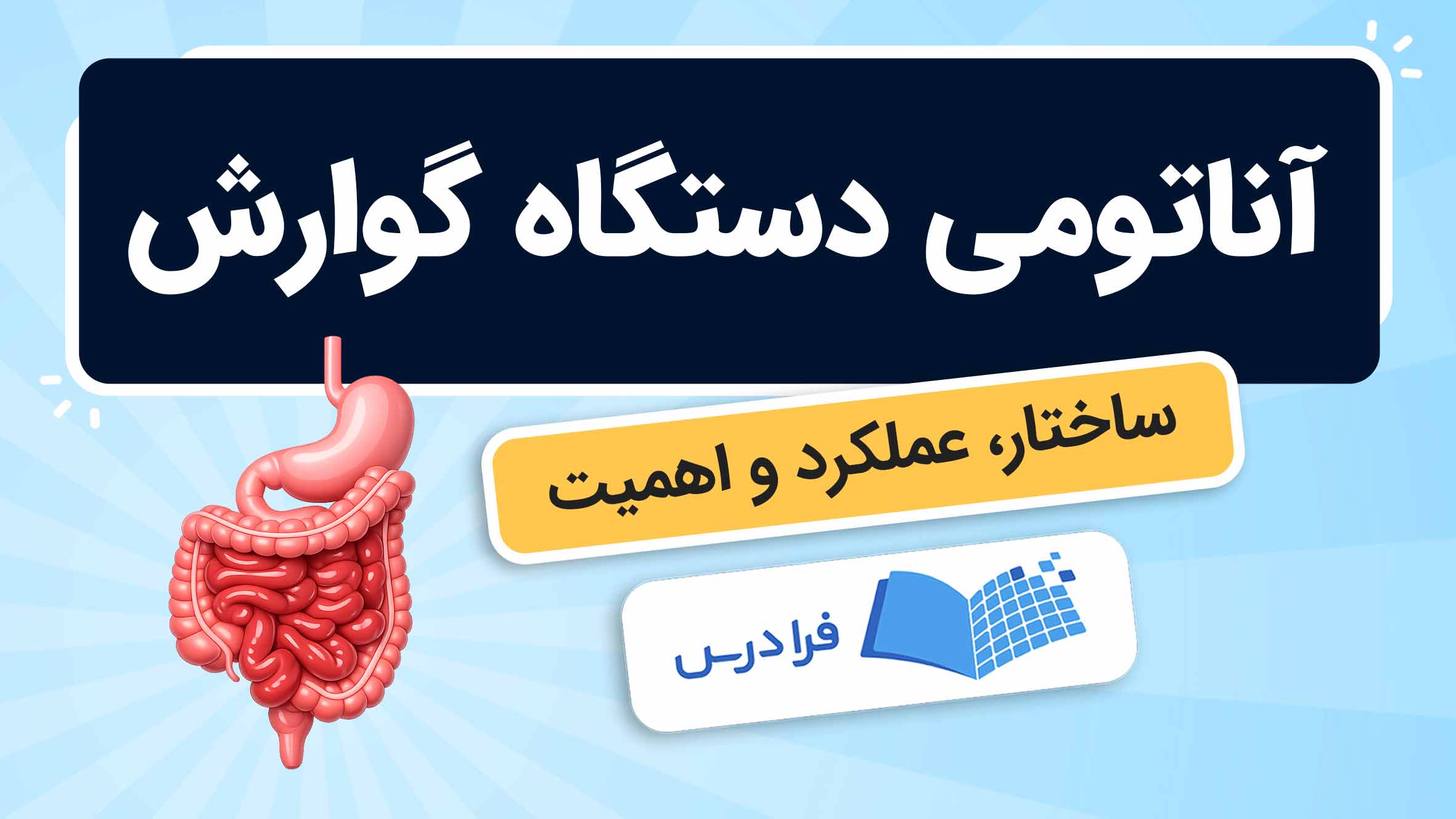 فیلم آموزش آناتومی دستگاه گوارش انسان