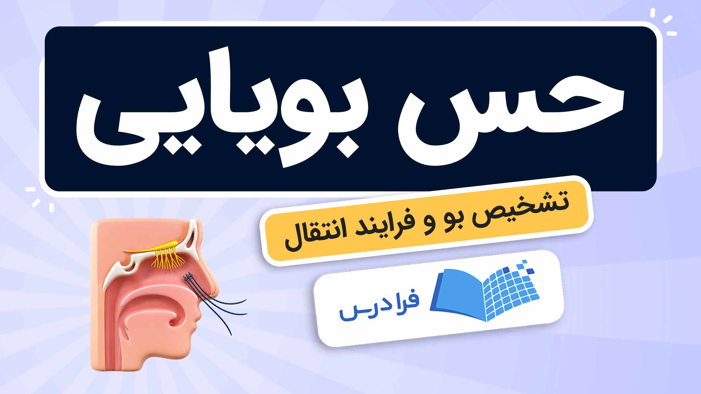 فیلم آموزش مکانیزم‌های تشخیص بو و انتقال آن