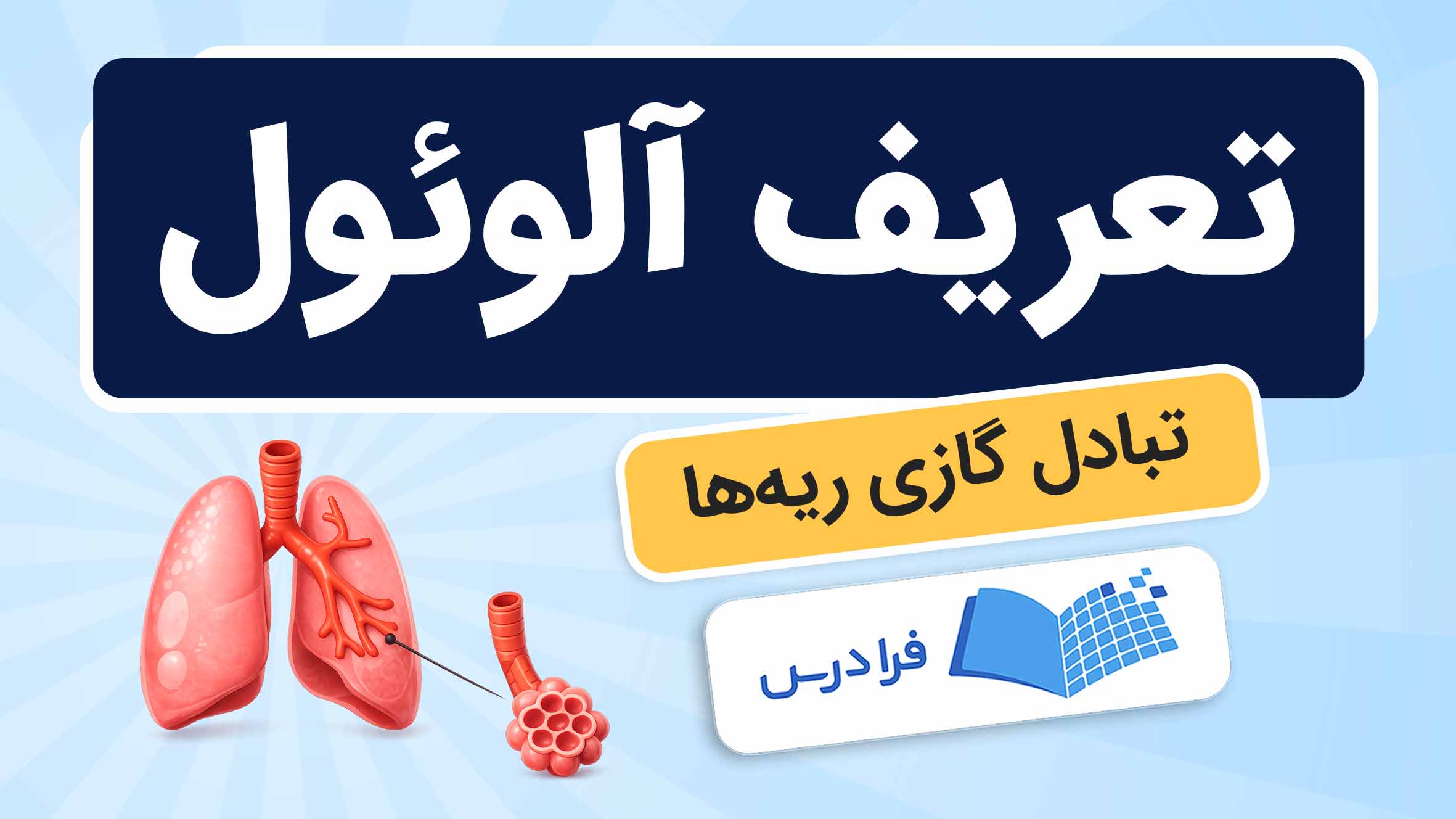 فیلم آموزش نقش آلوئول‌ها و کیسه‌ هوایی در تبادل گازی در فرادرس